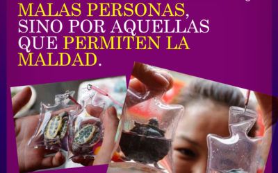 El mundo no esta en peligro por las malas personas, sino por las que permiten la maldad