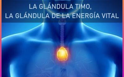 La Glándula Timo, glándula de la energía vital