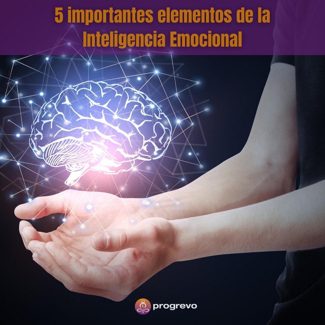 5 Importantes Elementos De La Inteligencia Emocional | Progrevo